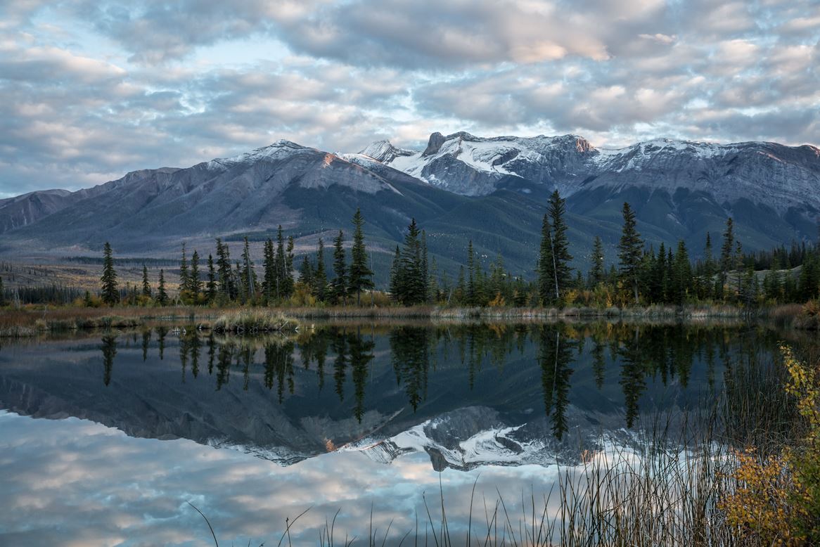 Journey Through the Clouds Scenic